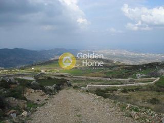Αγροτεμάχια 4.650 τ.μ. για πώληση