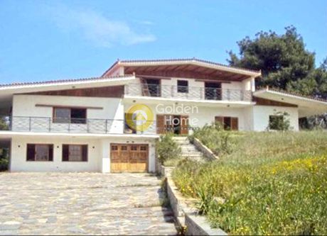 Οικόπεδο 6.000 τ.μ. για πώληση
