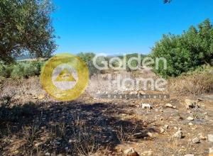 Αγροτεμάχια 273τ.μ. για πώληση-Κερατέα » Κέντρο