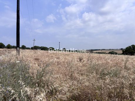 Αγροτεμάχια 10.661τ.μ. για πώληση-Επανομή » Πύργος επανομής