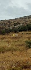 Αγροτεμάχια 4.125 τ.μ. για πώληση