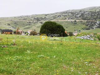 Αγροτεμάχια 52.000 τ.μ. για πώληση