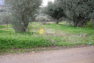 Οικόπεδο 1.350 τ.μ. για πώληση, Ν. Καρδίτσας, Σοφάδες-thumb-3
