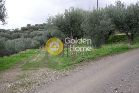 Οικόπεδο 1.350 τ.μ. για πώληση