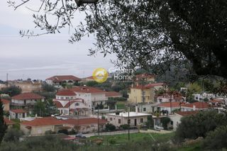 Οικόπεδο 1.350 τ.μ. για πώληση, Ν. Καρδίτσας, Σοφάδες-thumb-2