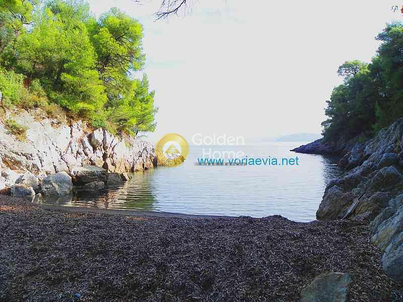 Γη 10.500 τ.μ. προς πώληση, Αγκάλη Νηλέως