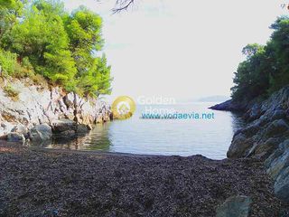 Άλλο 10.500 τ.μ. για πώληση, Εύβοια, Νηλέα-thumb-1