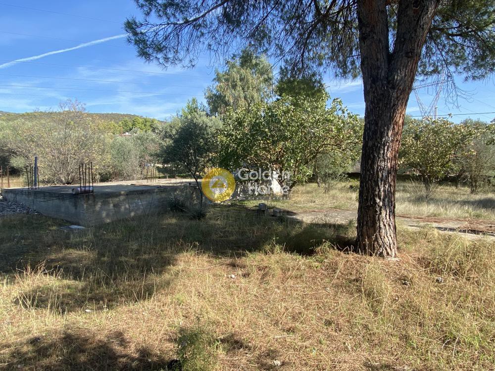 Αγροτεμάχια 1.565 τ.μ. προς πώληση, Πανόραμα Ληλαντίου