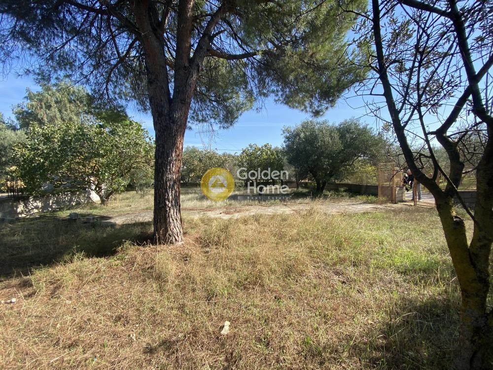Αγροτεμάχια 1.565 τ.μ. προς πώληση, Πανόραμα Ληλαντίου