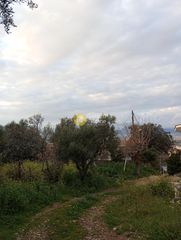 Οικόπεδο 504 τ.μ. για πώληση, Αχαΐα, Μεσσατίδα-thumb-3