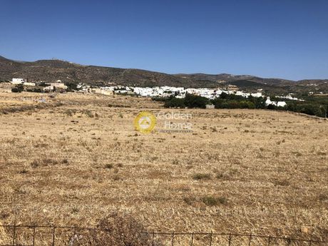 Οικόπεδο 10.800 τ.μ. προς πώληση
