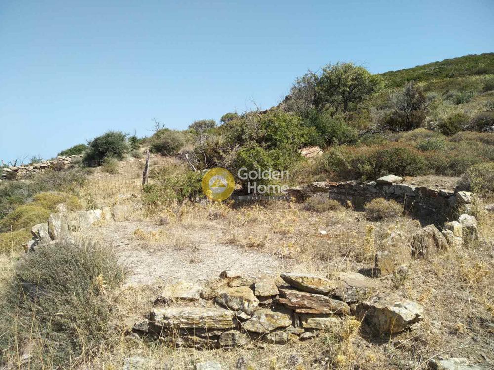 Μονοκατοικία 250 τ.μ. προς πώληση, Αντιάς