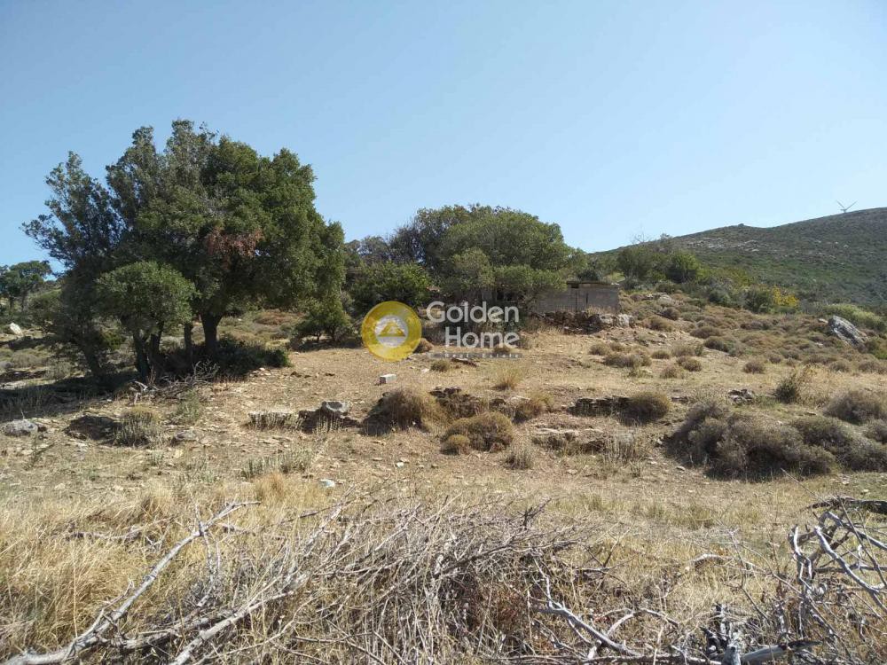 Μονοκατοικία 250 τ.μ. προς πώληση, Αντιάς