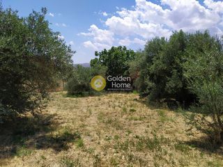 Οικόπεδο 1.439 τ.μ. για πώληση