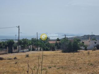 Οικόπεδο 4.000 τ.μ. για πώληση