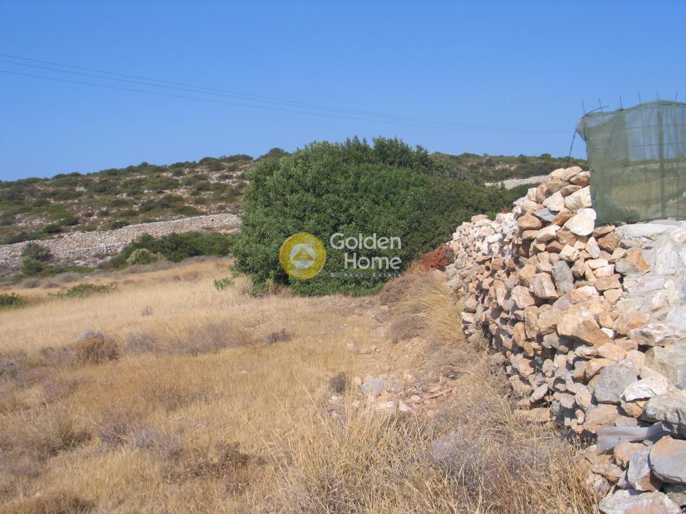 Οικόπεδο 9.848 τ.μ. προς πώληση, Αγκαιριά