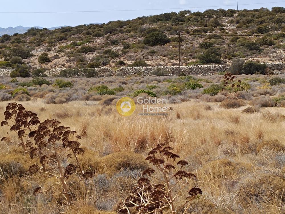 Οικόπεδο 9.848 τ.μ. προς πώληση, Αγκαιριά