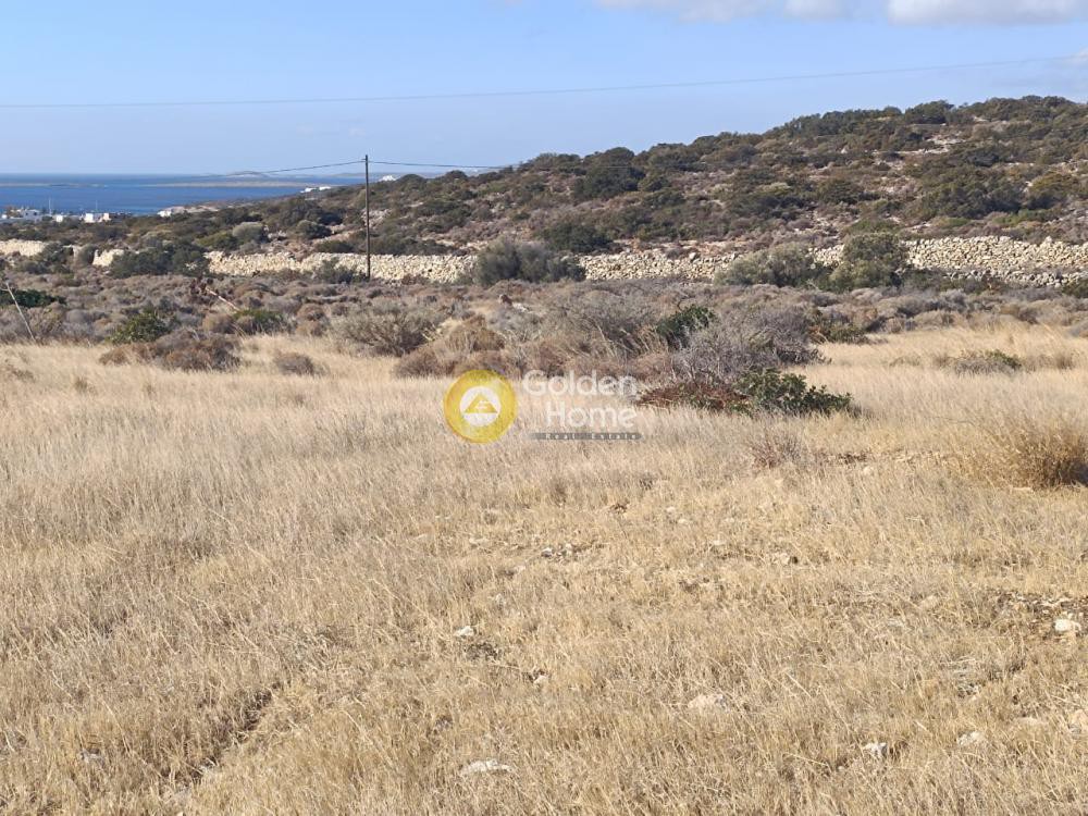 Οικόπεδο 9.848 τ.μ. προς πώληση, Αγκαιριά