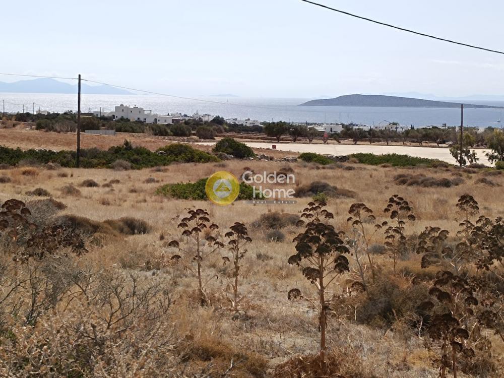 Οικόπεδο 9.848 τ.μ. προς πώληση, Αγκαιριά