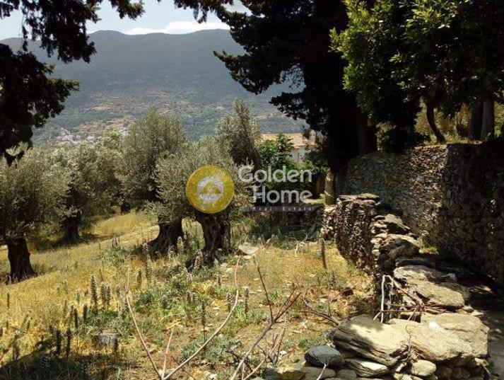 Οικόπεδο 1.666 τ.μ. προς πώληση, Χώρα Άνδρου