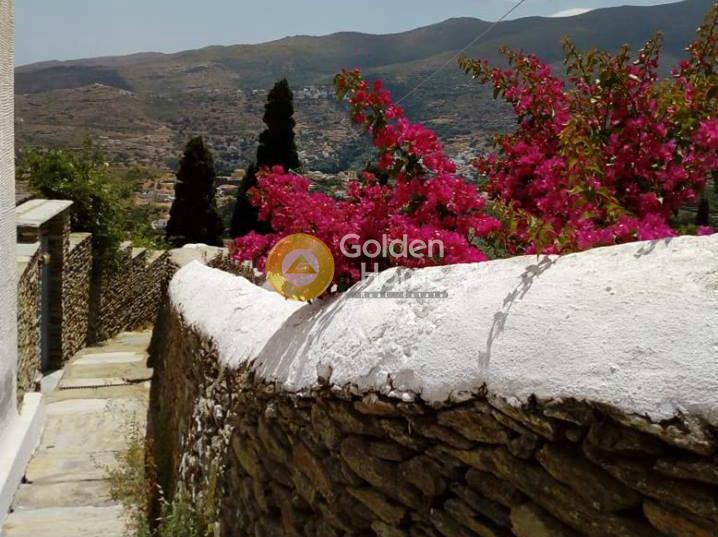 Οικόπεδο 1.666 τ.μ. προς πώληση, Χώρα Άνδρου