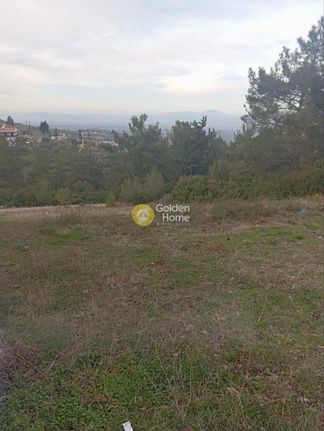 Land plot 352 sqm for sale, Boeotia, Aliartos