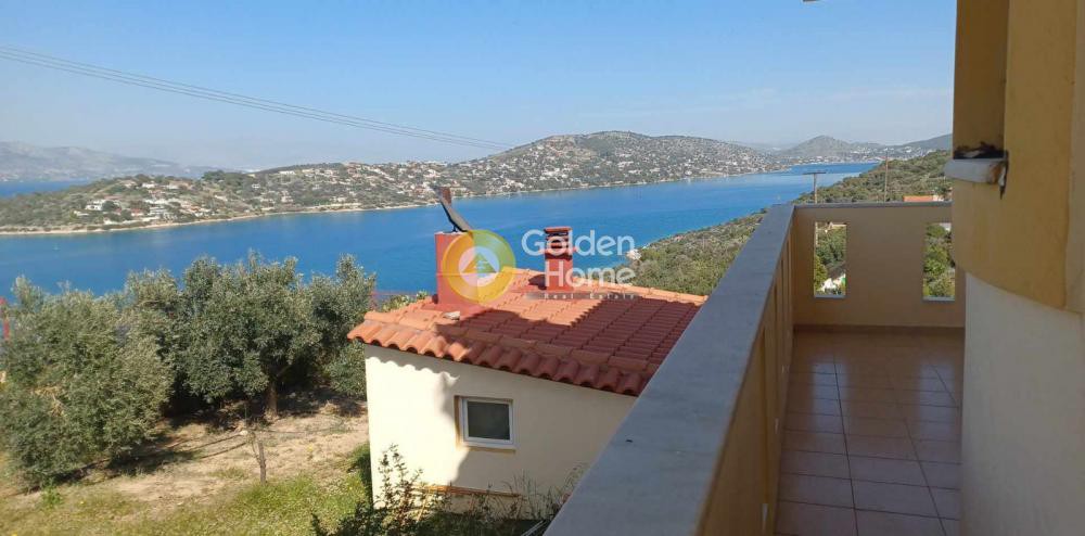 Μονοκατοικία 280 τ.μ. προς πώληση, Πάχη