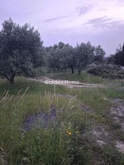 Αγροτεμάχια 1.932 τ.μ. για πώληση