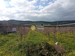 Οικόπεδο 3.300 τ.μ. για πώληση