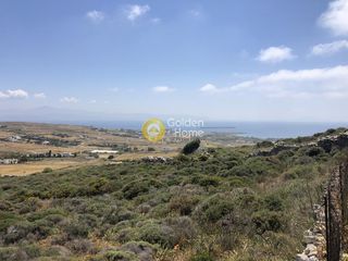 Αγροτεμάχια 7.200 τ.μ. για πώληση