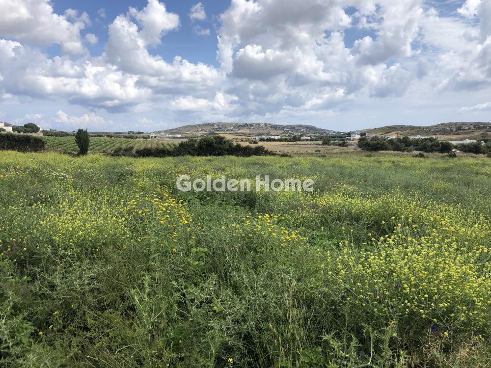 Αγροτεμάχια 12.073 τ.μ. προς πώληση, Γλυφάδες