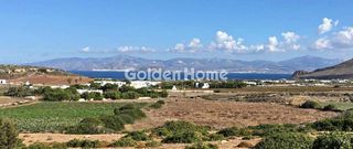 Αγροτεμάχια 12.073 τ.μ. για πώληση
