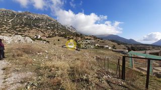 Οικόπεδο 14.308 τ.μ. για πώληση