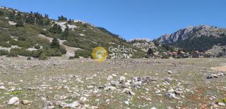 Αγροτεμάχια 13.460 τ.μ. για πώληση