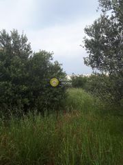Οικόπεδο 221 τ.μ. προς πώληση