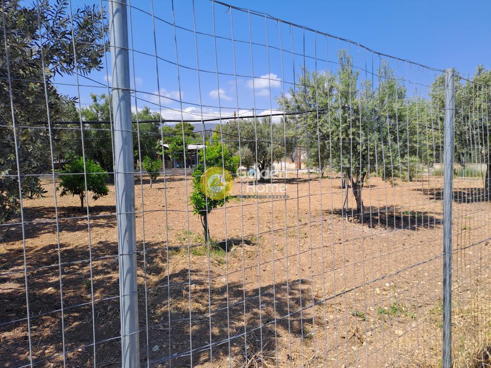 Οικόπεδο 1.300 τ.μ. προς πώληση, Κέντρο Αγίων Θεοδώρων
