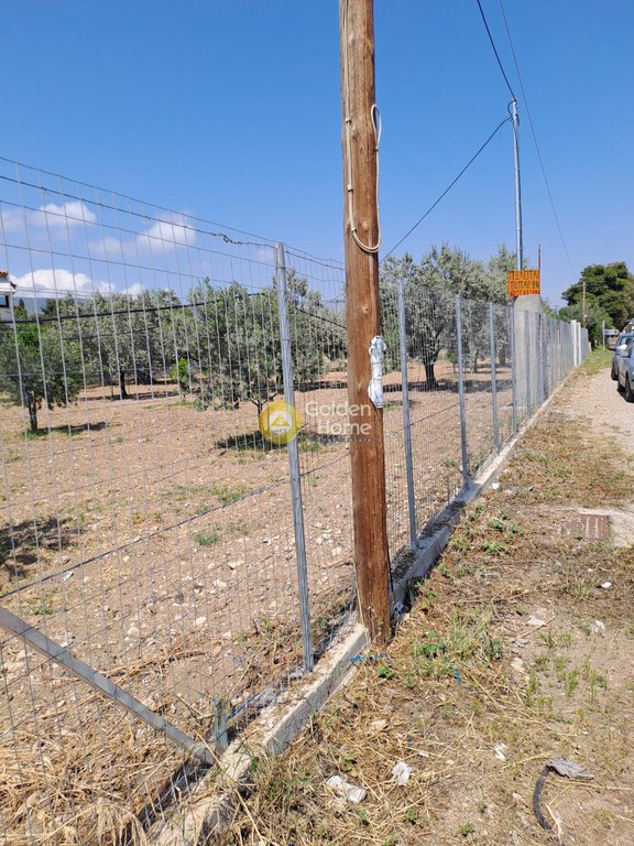Οικόπεδο 1.300 τ.μ. προς πώληση, Κέντρο Αγίων Θεοδώρων