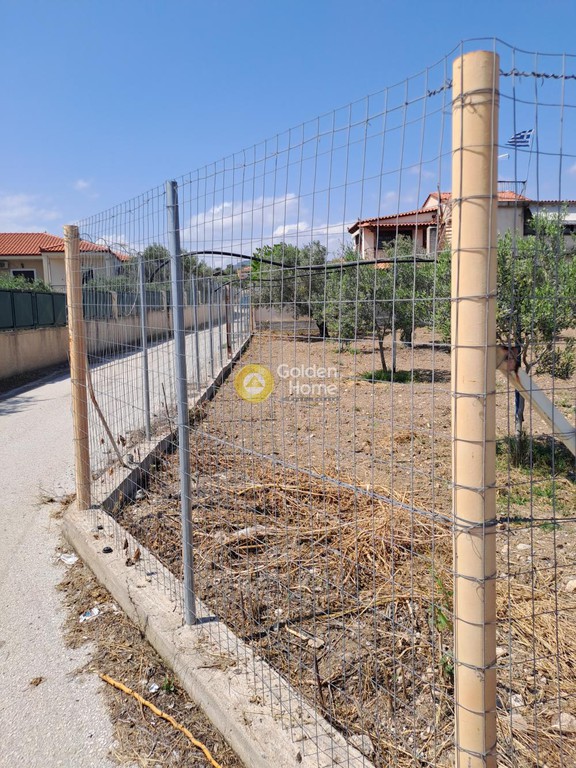 Οικόπεδο 1.300 τ.μ. προς πώληση, Κέντρο Αγίων Θεοδώρων