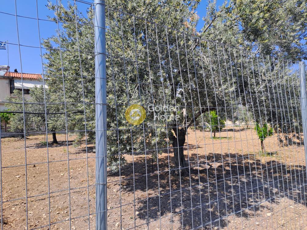 Οικόπεδο 1.300 τ.μ. προς πώληση, Κέντρο Αγίων Θεοδώρων