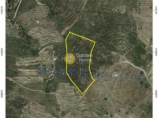 Αγροτεμάχια 10.000 τ.μ. για πώληση
