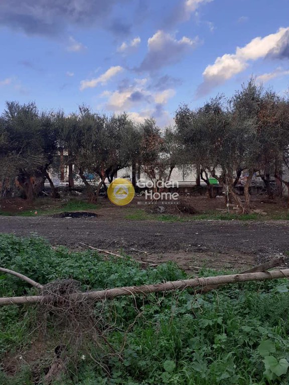 Οικόπεδο 272 τ.μ. προς πώληση, Παχιανά