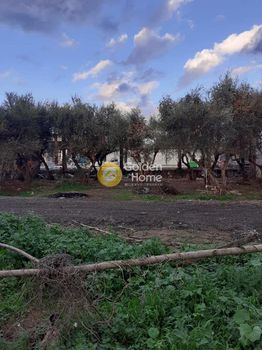 Οικόπεδο 272τ.μ. για πώληση-Χανιά » Παχιανά