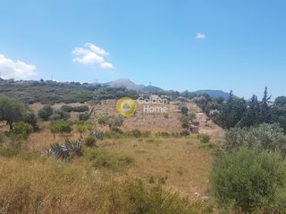 Οικόπεδο 5.281 τ.μ. για πώληση, Εύβοια, Δίρφυς-thumb-2