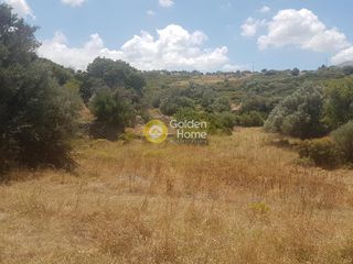 Οικόπεδο 5.281 τ.μ. για πώληση, Εύβοια, Δίρφυς-thumb-3