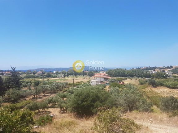 Οικόπεδο 5.281 τ.μ. για πώληση, Εύβοια, Δίρφυς