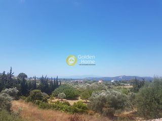 Οικόπεδο 5.281 τ.μ. για πώληση, Εύβοια, Δίρφυς-thumb-1