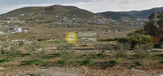 Αγροτεμάχια 7.751 τ.μ. για πώληση