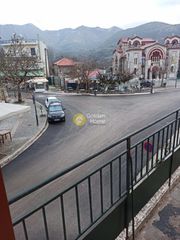 Κτίριο 234 τ.μ. για πώληση, Αχαΐα, Λευκάσιο-thumb-2