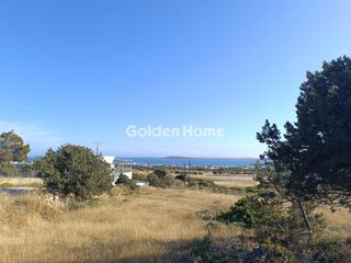 Αγροτεμάχια 2.000 τ.μ. για πώληση
