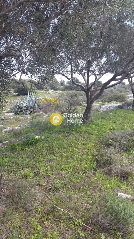 Αγροτεμάχια 568 τ.μ. πρός πώληση, Ν. Ρεθύμνου, Ζωνιανά